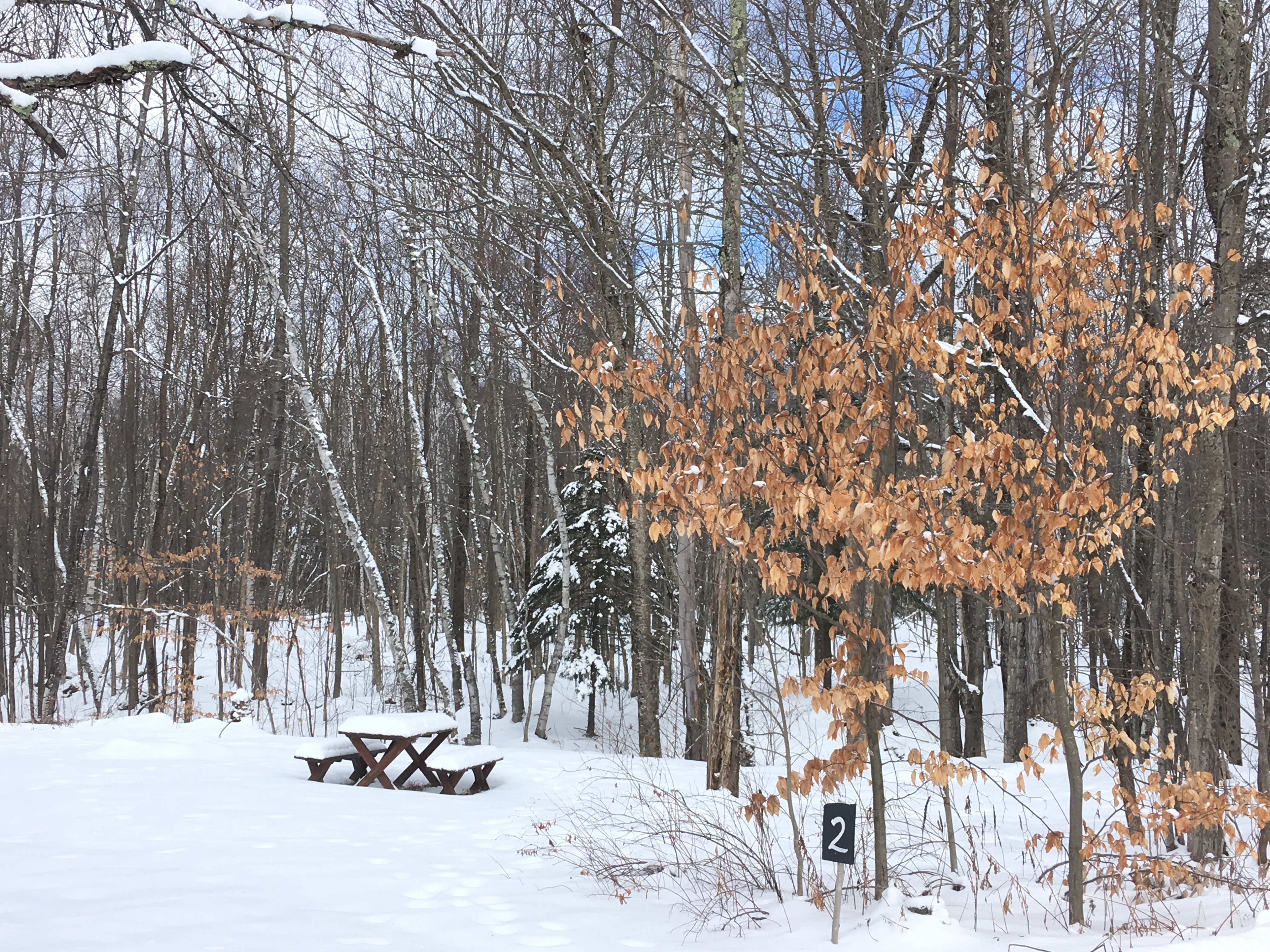 Maple Hill Campsites — photo 8